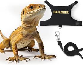 Pet-02 Polkastore Bearded Dragon Leash And Harness Adjustable - Escape Proof Soft Leather Reptile