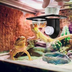 Fr173255t14c2qi7 Popetpop Gecko Food Cups Magnetic Feeding Ledge Crested Double Container Spider Feeder