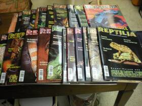Imm107 Practical Reptile Keeping 23 Reptilia Magazines