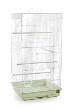 Specono1818h-sg Prevue Pet Products Tall Tiel Cage Sage Green