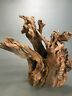Prime Driftwood For Decor Reptile High Satilla