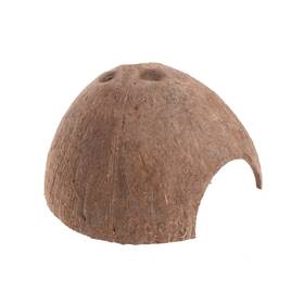 J6pd2s91237 Proxxi Cozy Natural Shell Cave For Small Pets - Wholesale Available