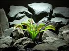 Prp210 Ron Beck Designs Faux