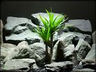 Prp264 Ron Beck Designs Yucca Plant Atificial Reptile Amphibian Plants
