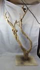 Psgl Zoo Med Sandblasted Grapevine 611102163786