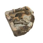 Pt-135 Pet Tekk Magnatural Medium 764789001350