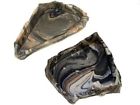 Pt-140 Pet Tekk Magnatural Large 764789001404