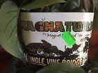 Pt-1412 Magnatural Jungle Vine Bridge Crested Gecko Reptile Lizard Bearded Dragon