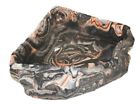 Pt-155 Pet Tekk Magnatural X-large 764789001558