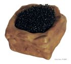 Pt-2807 Exo Terra Extra Small 015561228077