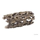 Pt-2986 Exo Terra Cholla Cactus 015561229869