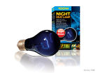 Pt2058 Exo Terra Night Heat