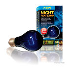 Pt2126 Exo Terra Night Heat