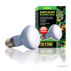 Pt2131 Exo Terra Daylight Basking