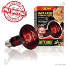 Pt2144a1 Exo Terra New Infrared 015561221443
