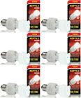Pt2340-6pk-in Exo Terra Rept Uvb 849039040232