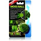 Pt2478 Moss Plants Ball 015561224789