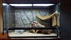 Pt2614a1 Exo Terra Natural Terrarium Large Tall