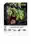 Pt2660 Terra Rainforest Habitat Exo Kit 12 X 18 015561226608