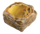 Pt2809 Exo Terra Water Dish 015561228091