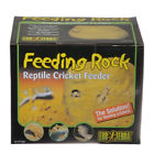 15561228213 Pt2821 Feeding Rock Reptile Cricket Feeder