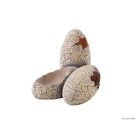 Pt2840 Exo Terra Dinosaur Eggs 015561228404