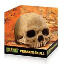 Pt2588 Pt2855 Exo Terra Primate Skull 015561228558