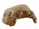 Pt2922 Hagen Exo Terra Tortoise Cave 015561229227