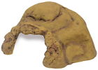 Pt2934 Exo Terra Reptile Cave 015561229340