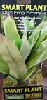 Pt2977 Exo-terra Smart Plant Dart