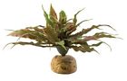 15561229821 Pt2982a1 Exo Terra Star Cactus