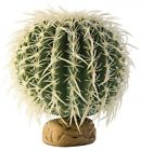 Pt2985 Exo Terra Barrel Cactus