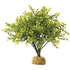 Pt2994 Exo Terra Boxwood Bush 015561229944