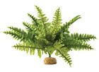 Pt2995 Exo Terra Reptile Terrarium 015561229951