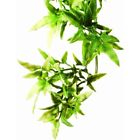 Pt3000 Plastic Terrarium Plant Small Croton 015561230001