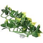 Pt3001 Plastic Plants Terrarium Plant 015561230018