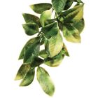 Pt3022 Plastic Plants Terrarium Plant Large Mandarin 015561230223