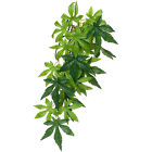 Pt3032 Exo-terra Silk Abutilon Jungle 015561230322