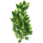 Pt3040 Silk Plants Terrarium Plant 015561230407