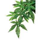 Pt3052 Exo-terra Silk Plant Large 015561230520