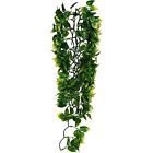 Pt3052-parent Exo Terra Plastic Terrarium