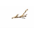 Pt3075 Exo Terra Forest Branch 015561230759