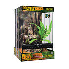 Pt3778a1 Crested Gecko Kit 015561009751