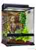 Pt3857 Congo Rainforest Habitat Exo Terra Kit 18 X 24