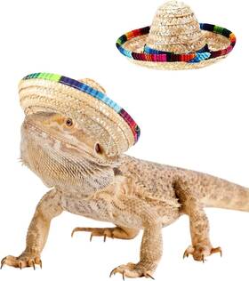 Pumexfe 800020165259 Mini Sombrero Hats For Bearded Dragon Lizard Cowboy Straw Small 2pc