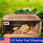 Qgi884204 Unbranded Acrylic Wood Reptile Turtle Insect Spider Lizard 6184927474558