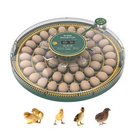 Qivine 414020602640 Egg Incubator With Automatic Turning And Humidity Control Incubators For