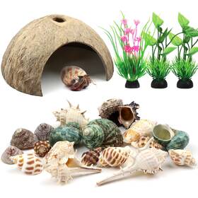 1166-qus Quozuo Hermit Crab Shells Natural Coconut Shell Hut Artificial Plants 22 Pcs