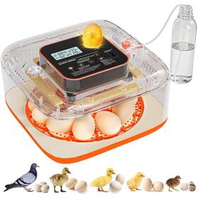 Fyy12 Qvkhpcl Incubators For Hatching Eggs 12 Egg Digital Incubator Precision Auto Temp
