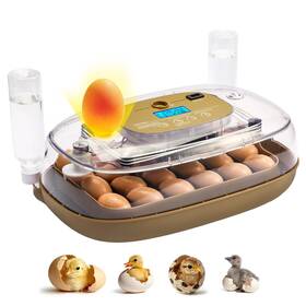 Fdq24 Ray Metal 24-egg Incubator Auto Egg Turner Precise Temp Control Water Refill C